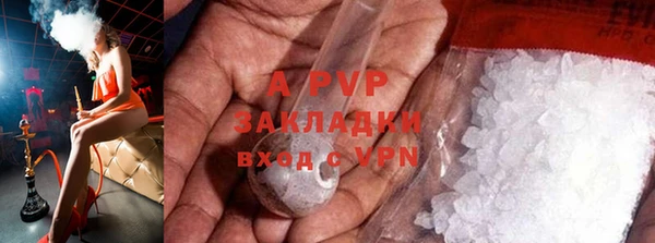 mdpv Богданович