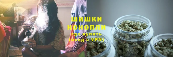 амф Богородск