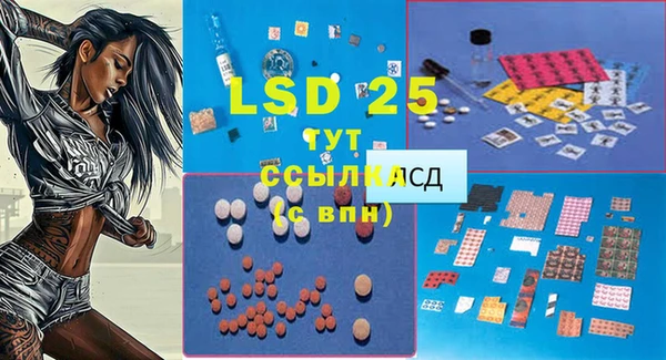 mdpv Богданович