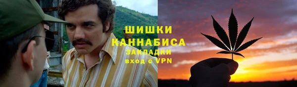 гидра Белоозёрский