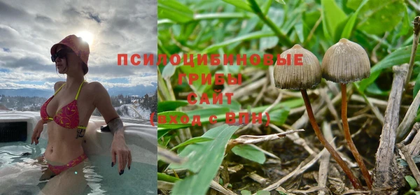 a pvp Беломорск