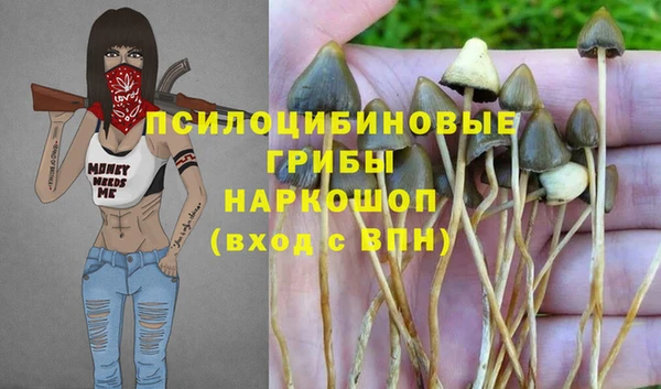 кокс Белокуриха