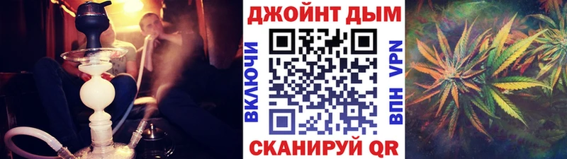 где найти наркотики  Дно  Бошки марихуана конопля 